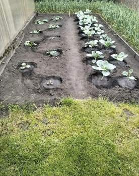 Дом 65м², 1-этажный, участок 6 сот.