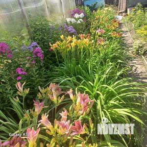 Дом 30м², 2-этажный, участок 4 сот.