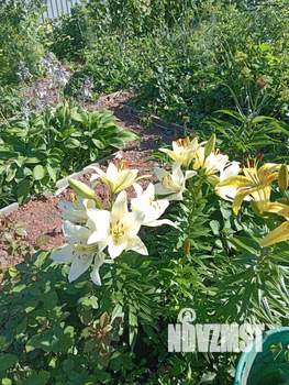 Дом 25м², 1-этажный, участок 4 сот.