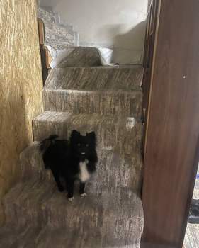 Дом 154м², 2-этажный, участок 6 сот.