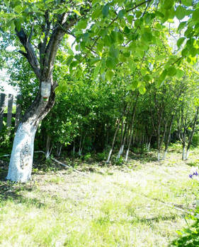 Дом 18м², 1-этажный, участок 395 сот.