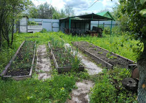 Дом 18м², 1-этажный, участок 395 сот.