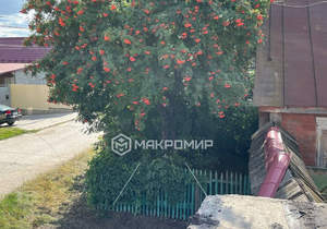 Дом 46м², 1-этажный, участок 6 сот.