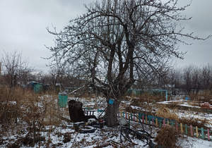 Дом 16м², 2-этажный, участок 6 сот.