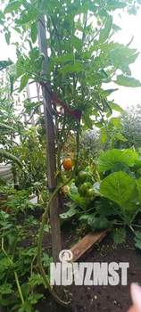 Дом 40м², 1-этажный, участок 4 сот.