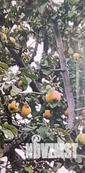 Дом 32м², 2-этажный, участок 5 сот.