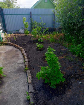 Дом 18м², 1-этажный, участок 395 сот.