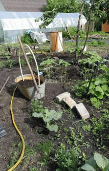 Дом 19м², 1-этажный, участок 6 сот.