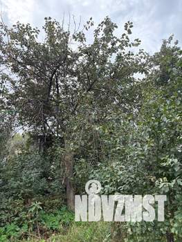 Дом 62м², 1-этажный, участок 6 сот.