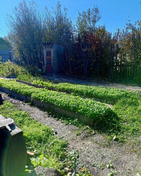 Дом 18м², 1-этажный, участок 4 сот.