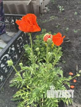 Дом 330м², 2-этажный, участок 33 сот.