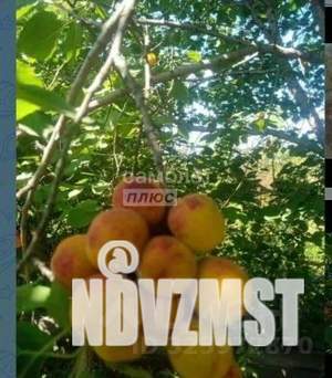 Дом 13м², 1-этажный, участок 3 сот.