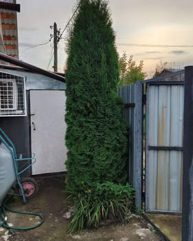 Дом 43м², 2-этажный, участок 4 сот.