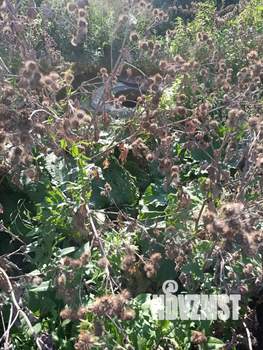 Дом 250м², 1-этажный, участок 18 сот.