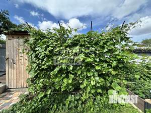 Дом 44м², 1-этажный, участок 4 сот.