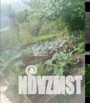 Дом 13м², 1-этажный, участок 3 сот.