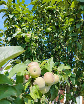 Дом 43м², 2-этажный, участок 4 сот.