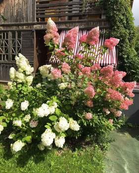 Дом 65м², 2-этажный, участок 4 сот.