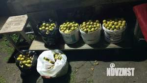 Дом 28м², 1-этажный, участок 29 сот.