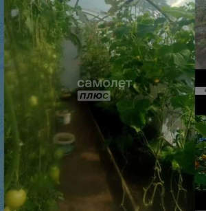 Дача 13м², 1-этажный, участок 3 сот.