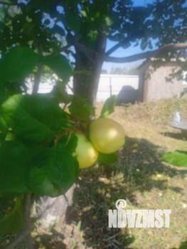 Дом 25м², 1-этажный, участок 4 сот.