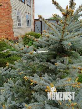 Дом 48м², 2-этажный, участок 4 сот.