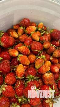 Дом 30м², 2-этажный, участок 4 сот.