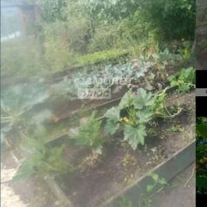 Дача 13м², 1-этажный, участок 3 сот.