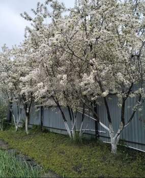 Дом 65м², 1-этажный, участок 6 сот.