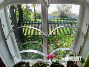 Дом 48м&sup2;, 1-этажный, участок 6 сот.  