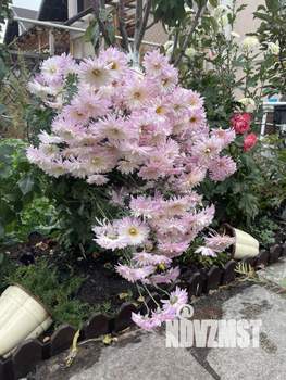 Таунхаус 120м&sup2;, 3-этажный, участок 2 сот.  