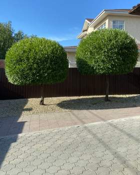 Дом 390м², 2-этажный, участок 16 сот.  