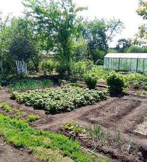 Дом 12м&sup2;, 2-этажный, участок 8 сот.  