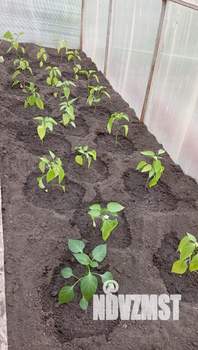 Дом 67м&sup2;, 2-этажный, участок 6 сот.  