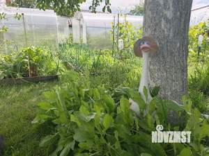 Дом 30м&sup2;, 1-этажный, участок 5 сот.  