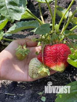 Дом 61м&sup2;, 2-этажный, участок 5 сот.  