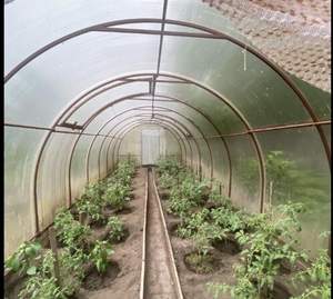 Дом 70м&sup2;, 1-этажный, участок 9 сот.  