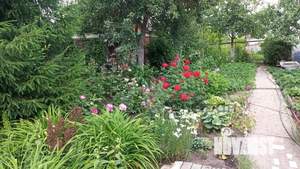 Дом 74м&sup2;, 2-этажный, участок 6 сот.  