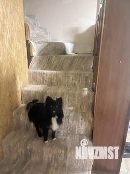 Коттедж 154м&sup2;, 2-этажный, участок 7 сот.  