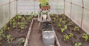 Дом 60м&sup2;, 2-этажный, участок 6 сот.  