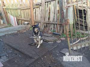 Дом 63м², 1-этажный, участок 3 сот.  