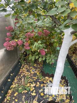 Таунхаус 120м&sup2;, 3-этажный, участок 2 сот.  