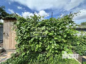 Дом 44м², 1-этажный, участок 4 сот.  