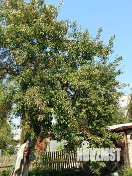 Дом 20м&sup2;, 2-этажный, участок 7 сот.  