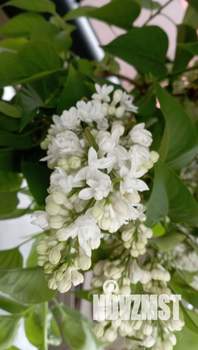 Дом 67м&sup2;, 2-этажный, участок 6 сот.  