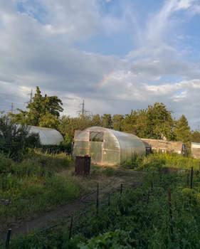 Дом 12м², 1-этажный, участок 7 сот.  