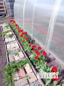 Дом 12м&sup2;, 1-этажный, участок 8 сот.  