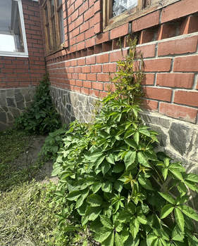 Дом 330м&sup2;, 2-этажный, участок 33 сот.  