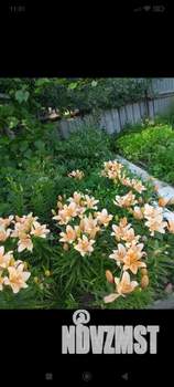 Дом 24м&sup2;, 1-этажный, участок 4 сот.  