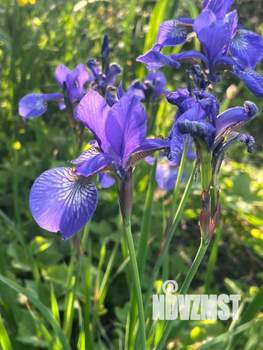 Дом 30м&sup2;, 2-этажный, участок 4 сот.  